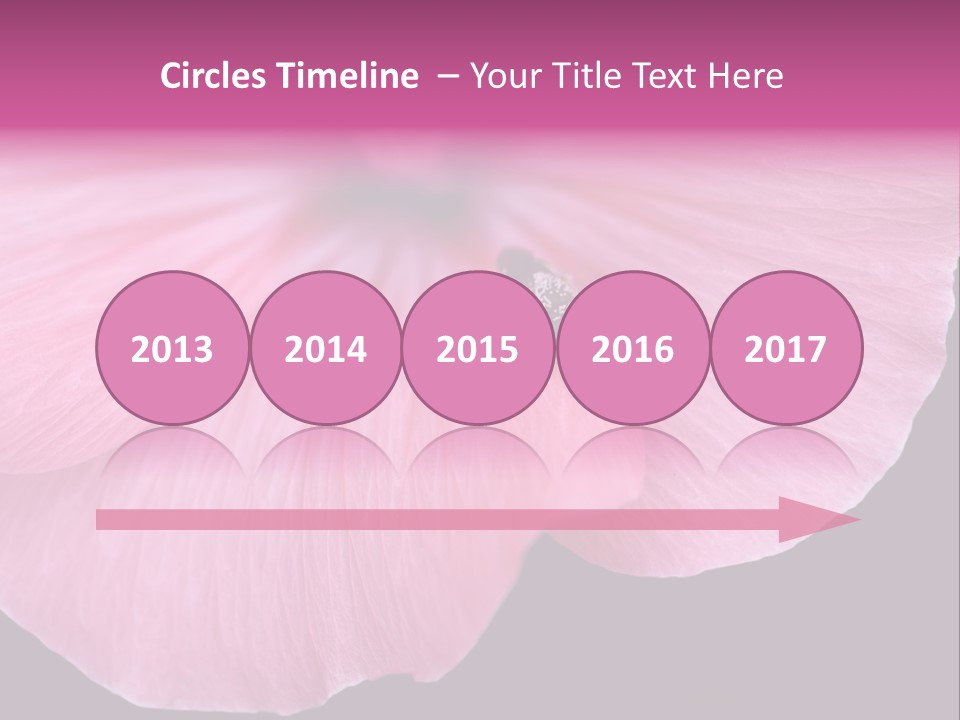 Pink Flower With A Little Fly On It. PowerPoint Template