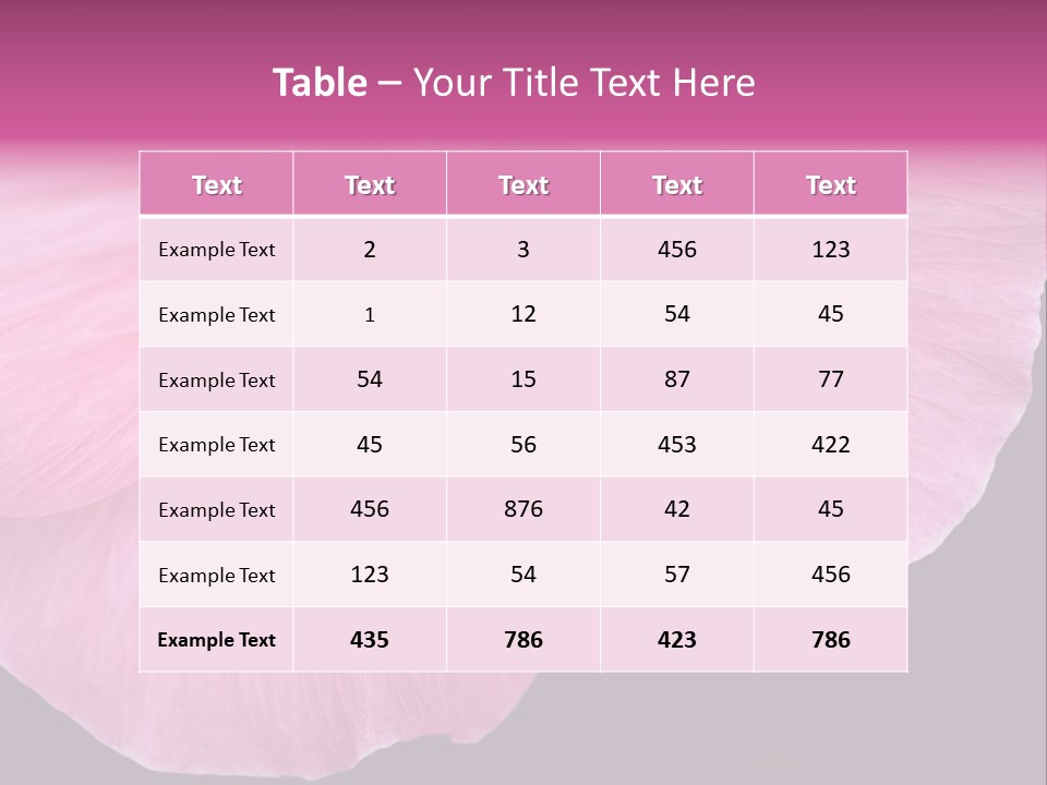 Pink Flower With A Little Fly On It. PowerPoint Template