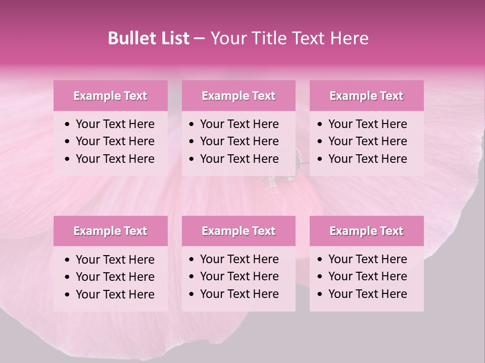 Pink Flower With A Little Fly On It. PowerPoint Template