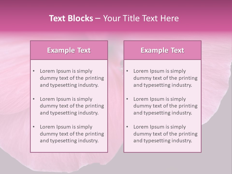 Pink Flower With A Little Fly On It. PowerPoint Template