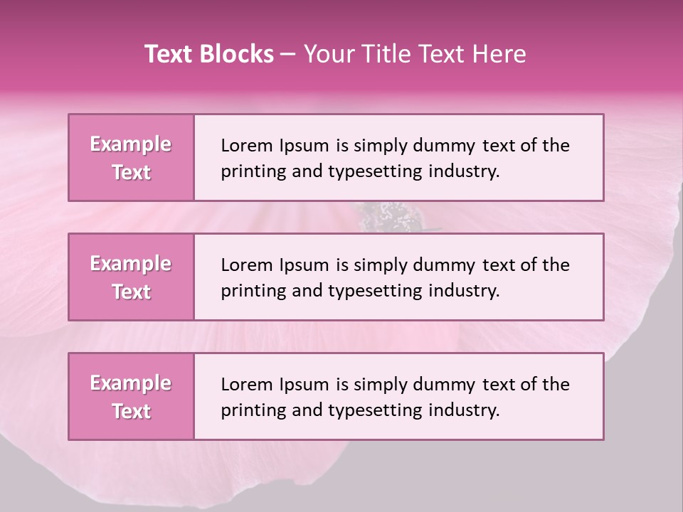 Pink Flower With A Little Fly On It. PowerPoint Template