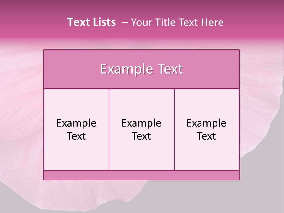 Pink Flower With A Little Fly On It. PowerPoint Template