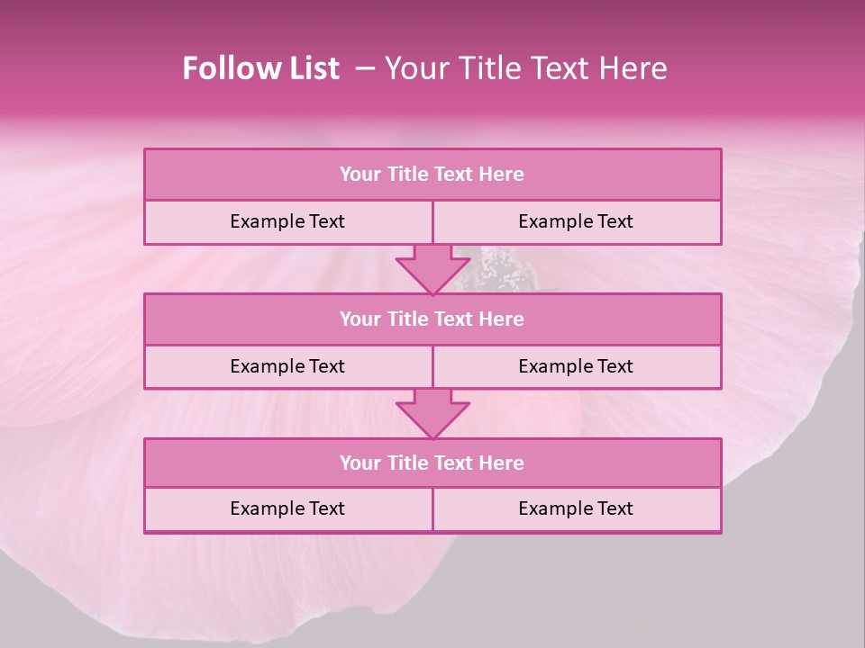 Pink Flower With A Little Fly On It. PowerPoint Template