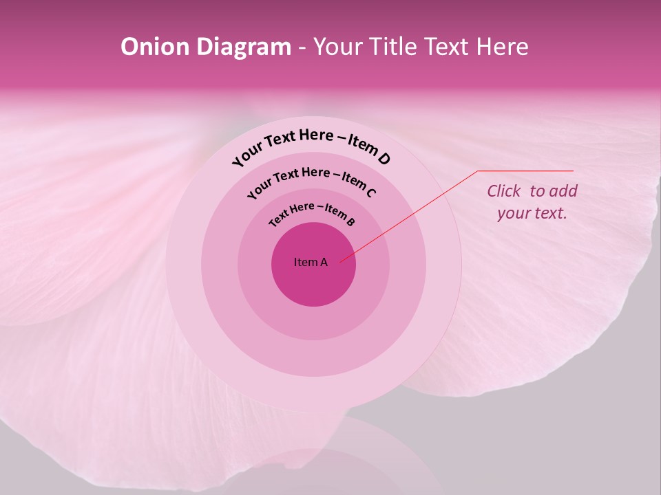 Pink Flower With A Little Fly On It. PowerPoint Template