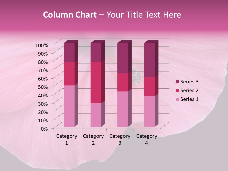 Pink Flower With A Little Fly On It. PowerPoint Template