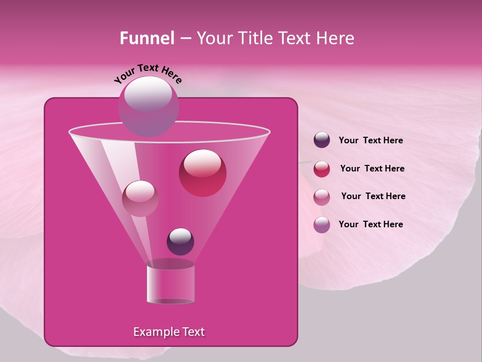 Pink Flower With A Little Fly On It. PowerPoint Template