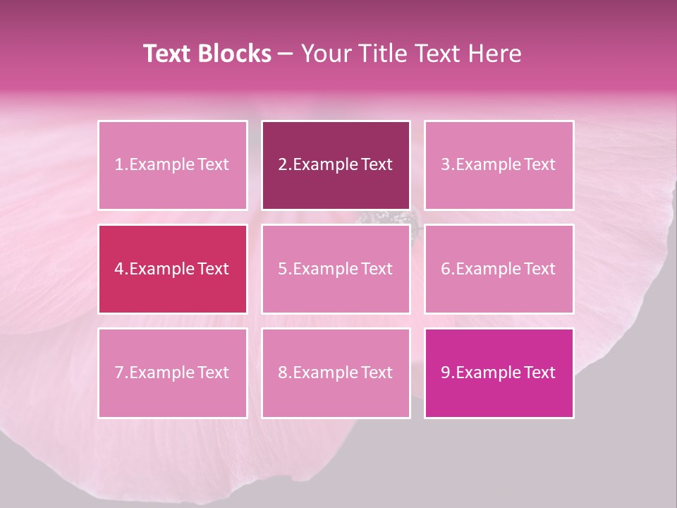 Pink Flower With A Little Fly On It. PowerPoint Template