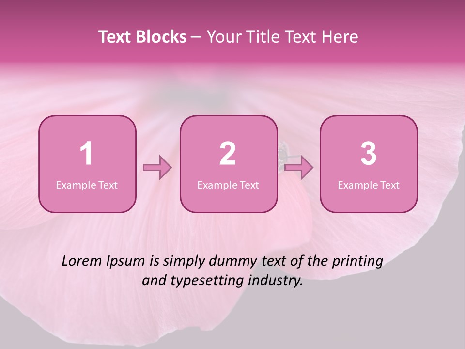 Pink Flower With A Little Fly On It. PowerPoint Template