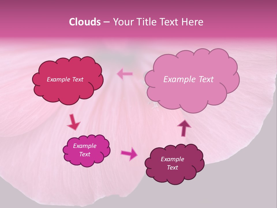 Pink Flower With A Little Fly On It. PowerPoint Template