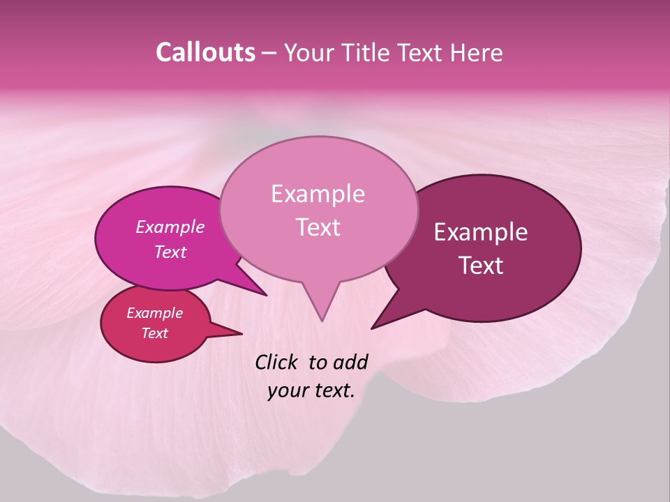 Pink Flower With A Little Fly On It. PowerPoint Template