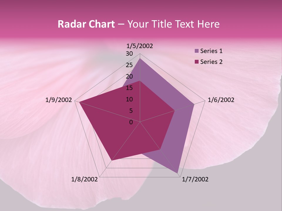 Pink Flower With A Little Fly On It. PowerPoint Template