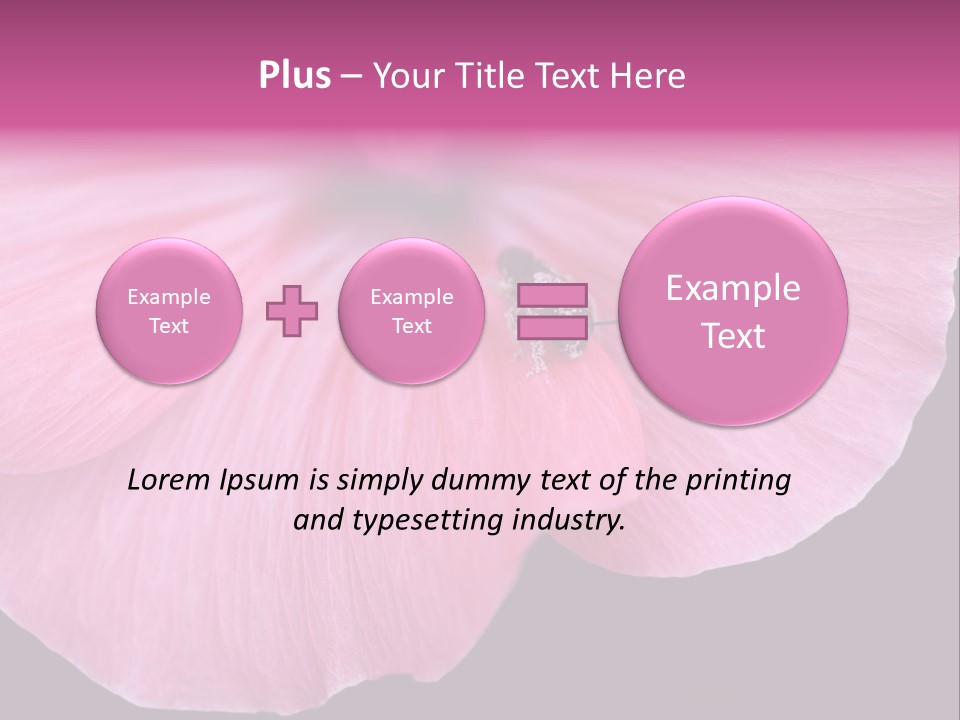 Pink Flower With A Little Fly On It. PowerPoint Template