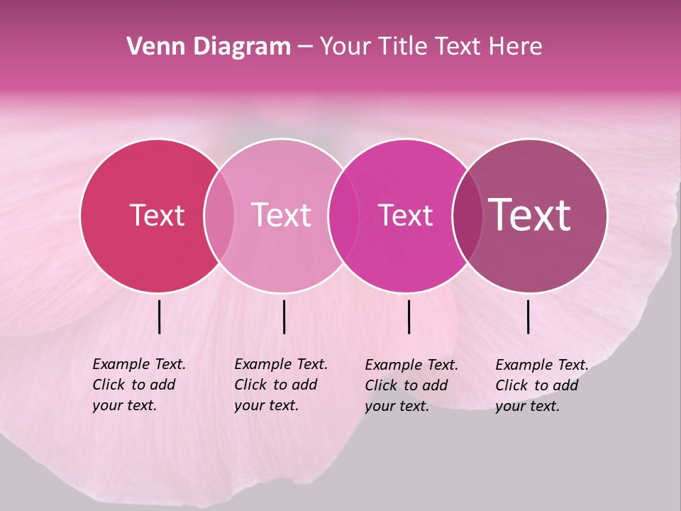 Pink Flower With A Little Fly On It. PowerPoint Template