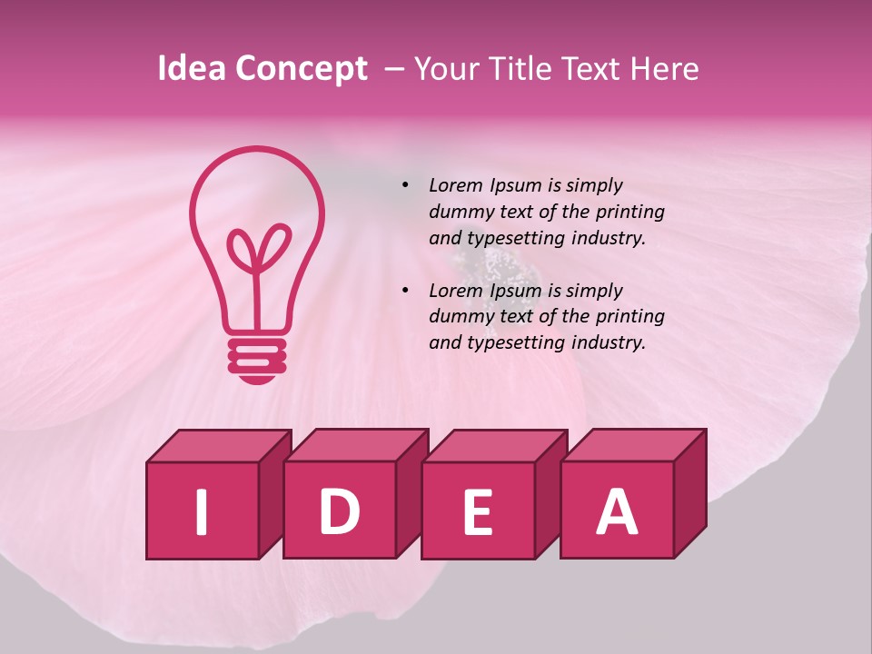 Pink Flower With A Little Fly On It. PowerPoint Template