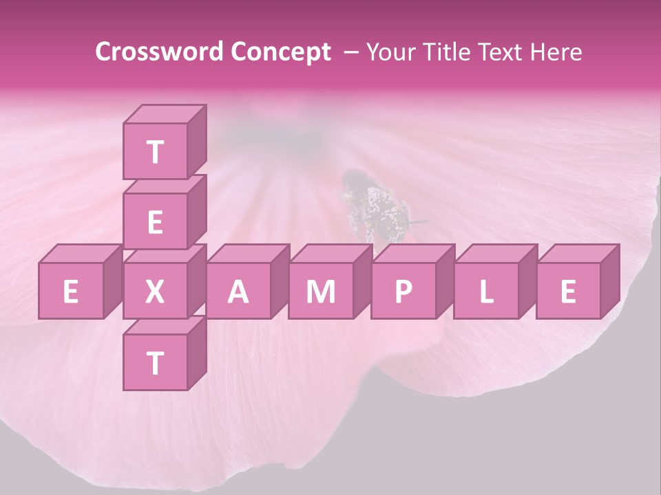 Pink Flower With A Little Fly On It. PowerPoint Template