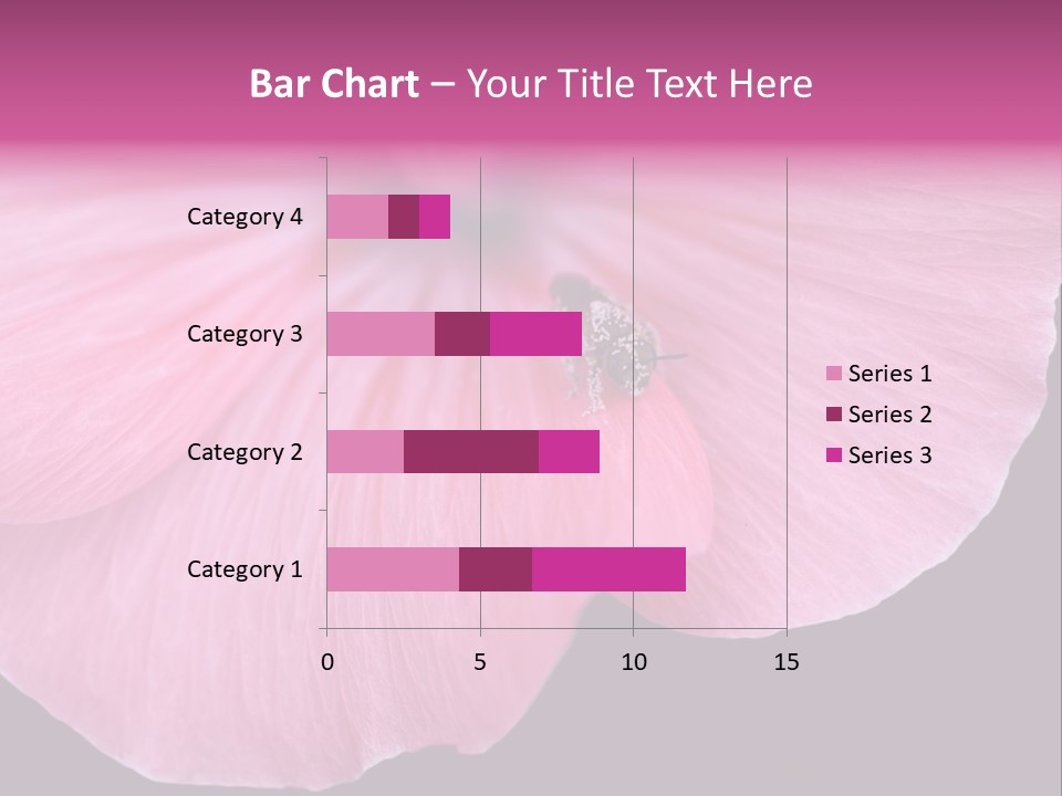 Pink Flower With A Little Fly On It. PowerPoint Template