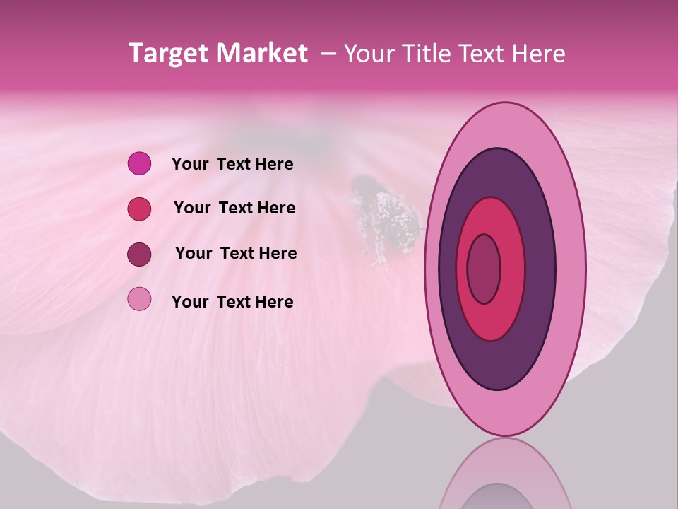 Pink Flower With A Little Fly On It. PowerPoint Template