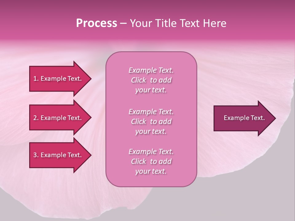 Pink Flower With A Little Fly On It. PowerPoint Template