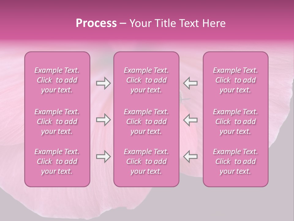 Pink Flower With A Little Fly On It. PowerPoint Template