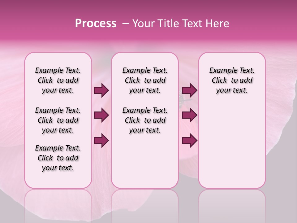 Pink Flower With A Little Fly On It. PowerPoint Template