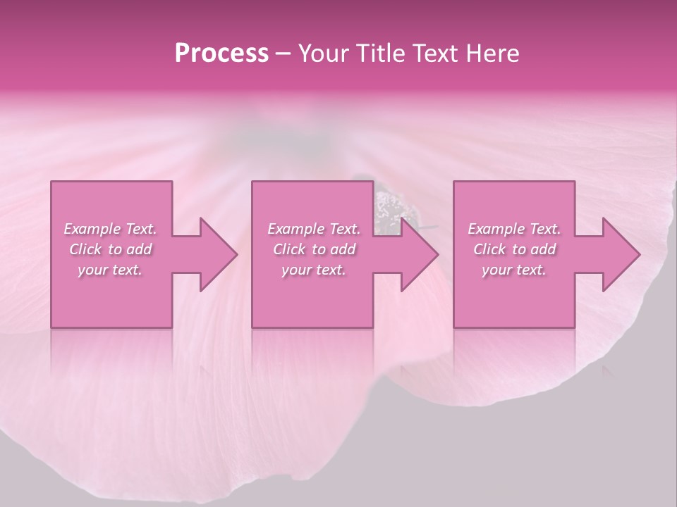 Pink Flower With A Little Fly On It. PowerPoint Template