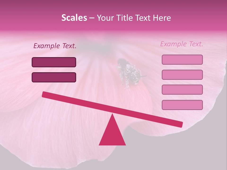 Pink Flower With A Little Fly On It. PowerPoint Template