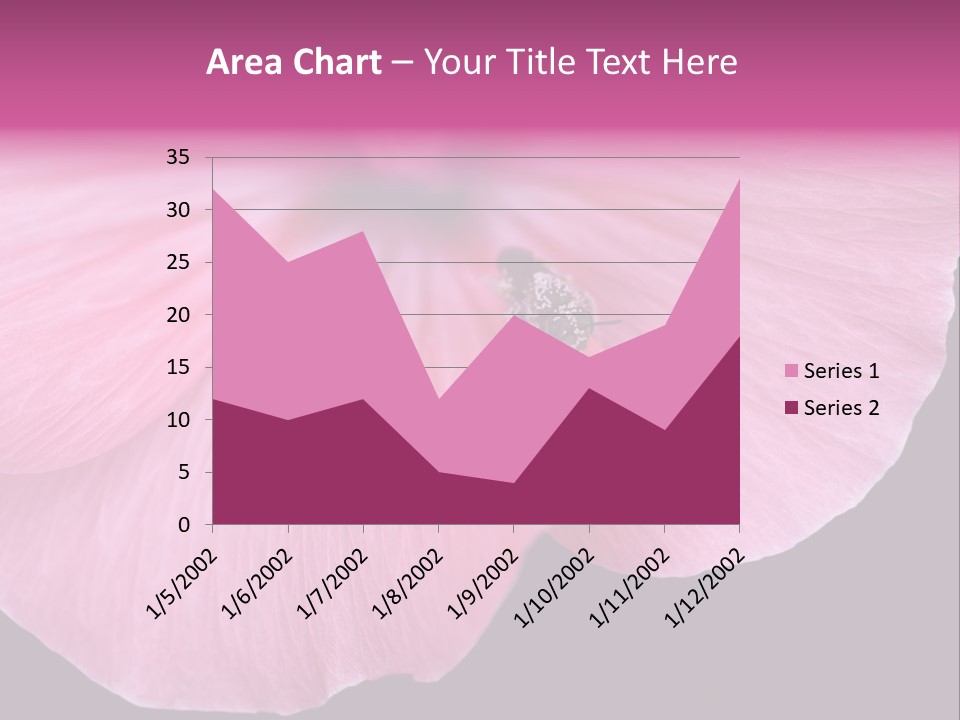 Pink Flower With A Little Fly On It. PowerPoint Template