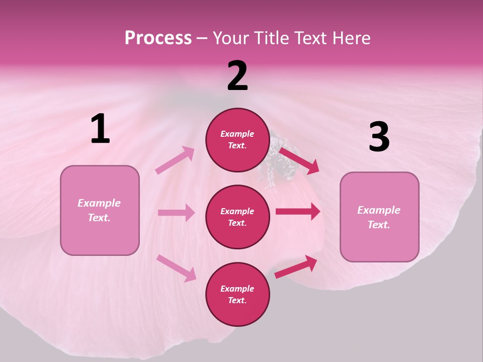 Pink Flower With A Little Fly On It. PowerPoint Template