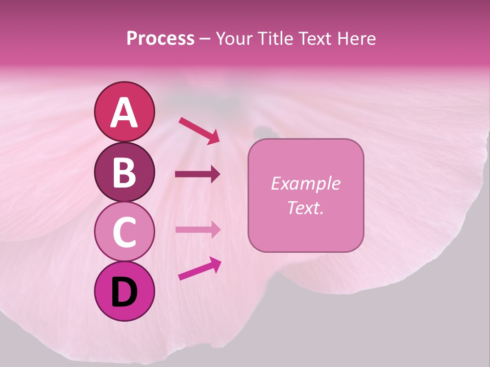 Pink Flower With A Little Fly On It. PowerPoint Template