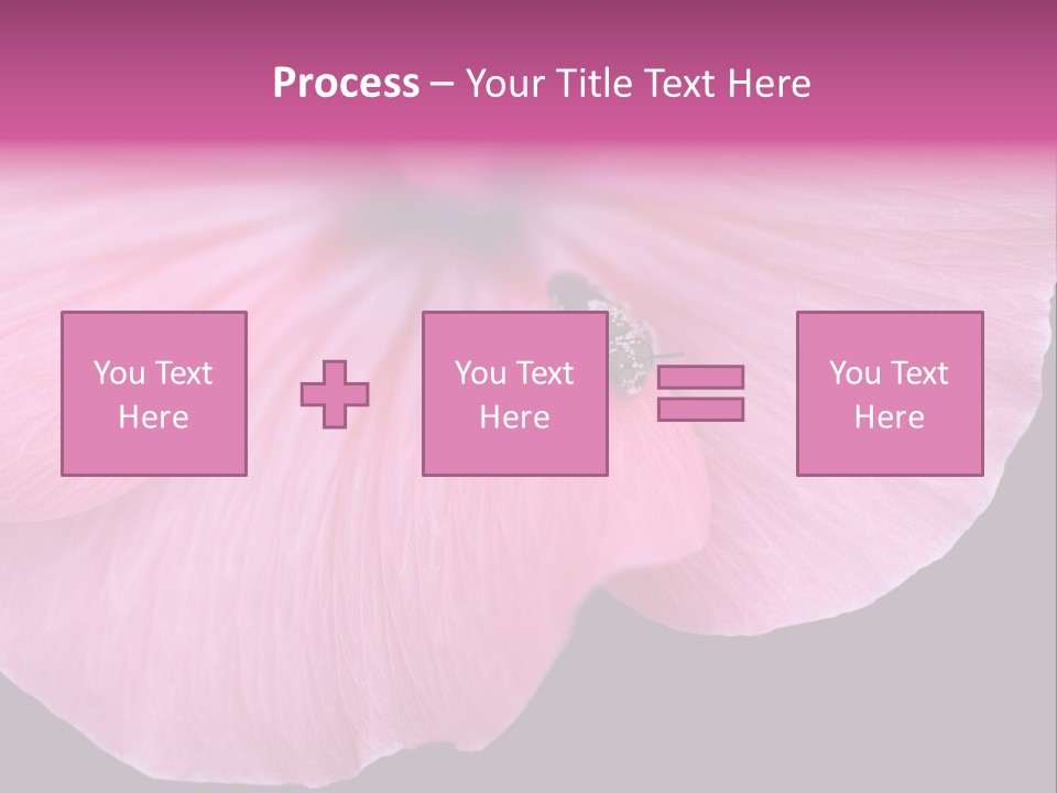 Pink Flower With A Little Fly On It. PowerPoint Template