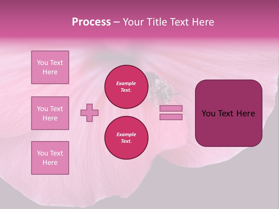 Pink Flower With A Little Fly On It. PowerPoint Template