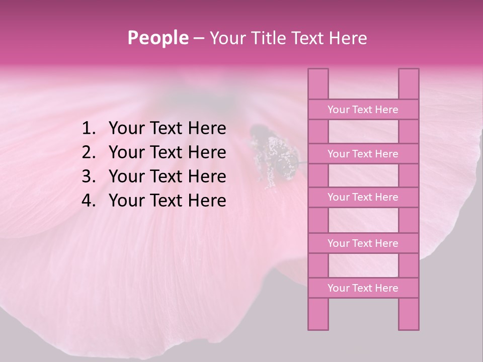 Pink Flower With A Little Fly On It. PowerPoint Template