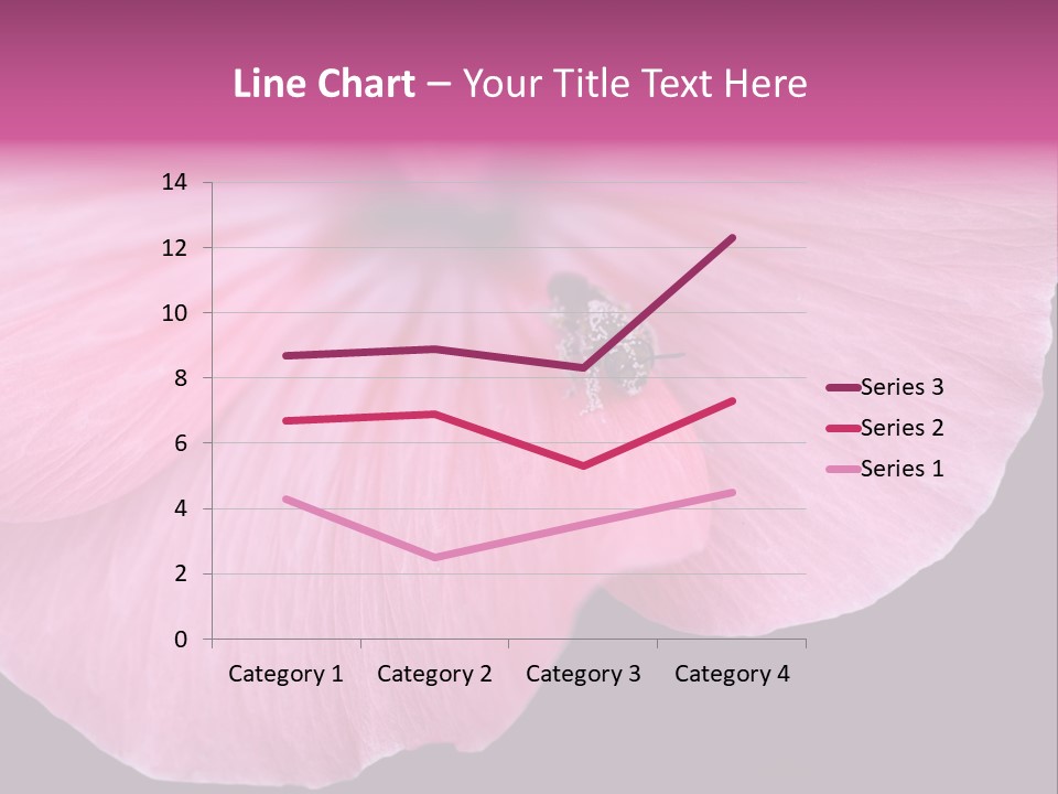 Pink Flower With A Little Fly On It. PowerPoint Template