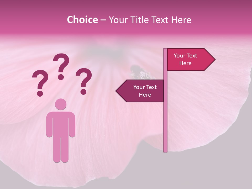 Pink Flower With A Little Fly On It. PowerPoint Template