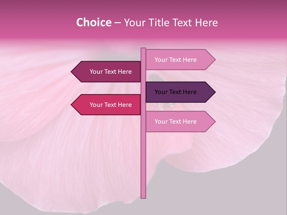 Pink Flower With A Little Fly On It. PowerPoint Template