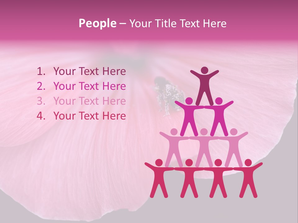 Pink Flower With A Little Fly On It. PowerPoint Template