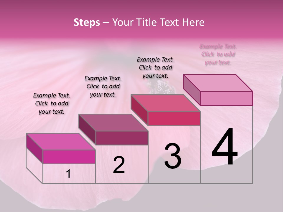 Pink Flower With A Little Fly On It. PowerPoint Template