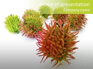 A Group Of Different Colored Plants On A White Surface PowerPoint Template