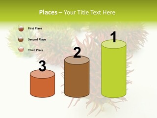 A Group Of Different Colored Plants On A White Surface PowerPoint Template