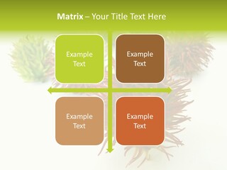 A Group Of Different Colored Plants On A White Surface PowerPoint Template