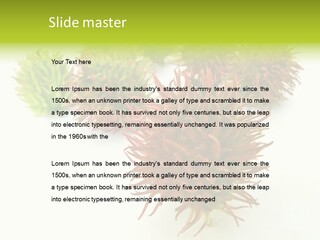 A Group Of Different Colored Plants On A White Surface PowerPoint Template