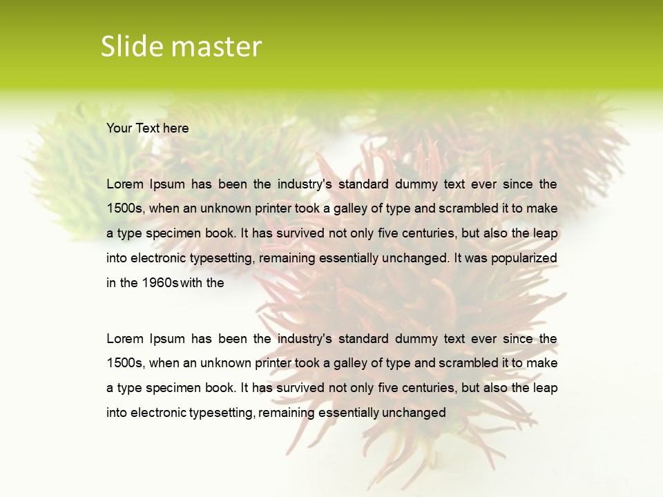 A Group Of Different Colored Plants On A White Surface PowerPoint Template