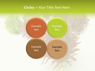 A Group Of Different Colored Plants On A White Surface PowerPoint Template