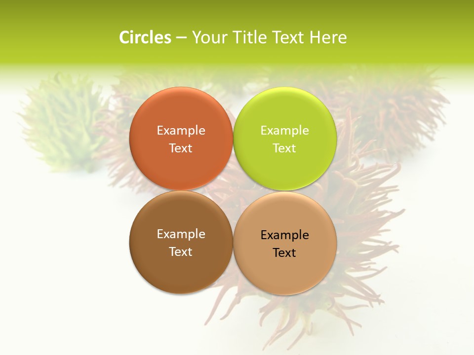 A Group Of Different Colored Plants On A White Surface PowerPoint Template