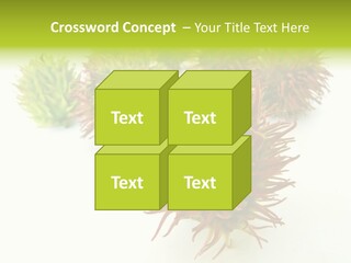 A Group Of Different Colored Plants On A White Surface PowerPoint Template