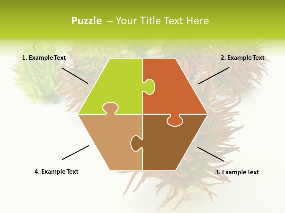 A Group Of Different Colored Plants On A White Surface PowerPoint Template