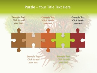 A Group Of Different Colored Plants On A White Surface PowerPoint Template