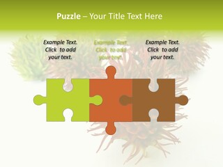 A Group Of Different Colored Plants On A White Surface PowerPoint Template