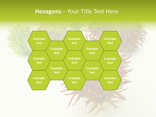 A Group Of Different Colored Plants On A White Surface PowerPoint Template