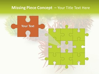 A Group Of Different Colored Plants On A White Surface PowerPoint Template